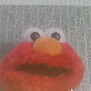 Meet your Posher, Ray